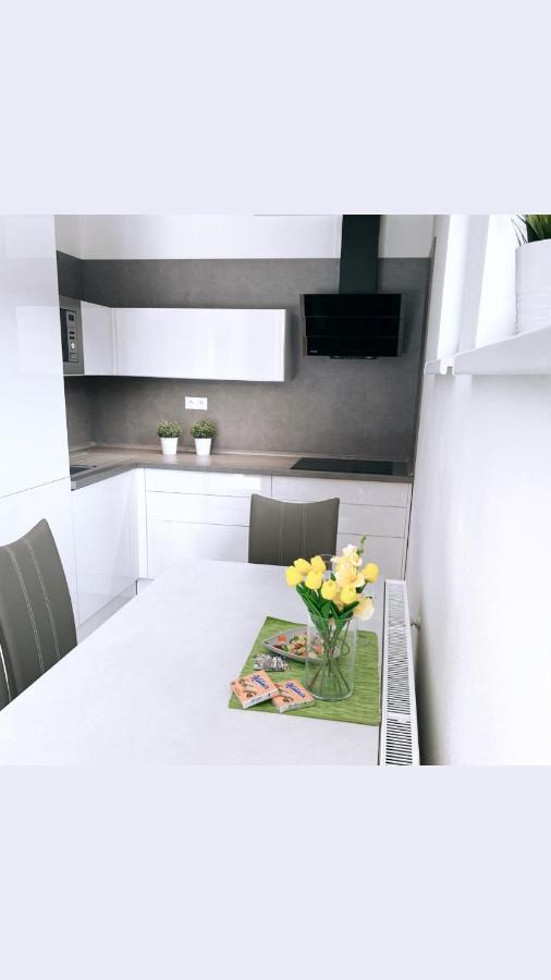 Apartman Monika Lipno nad Vltavou Dış mekan fotoğraf